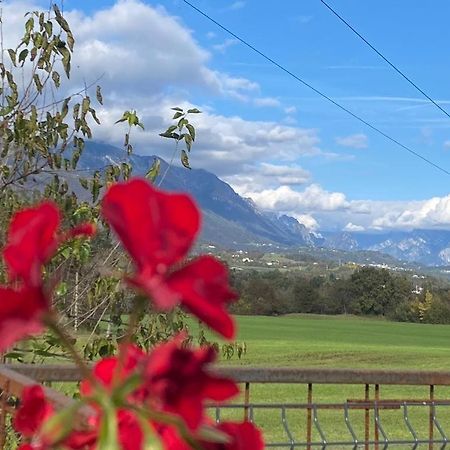 Il Mondo Roverso Feltre Zewnętrze zdjęcie