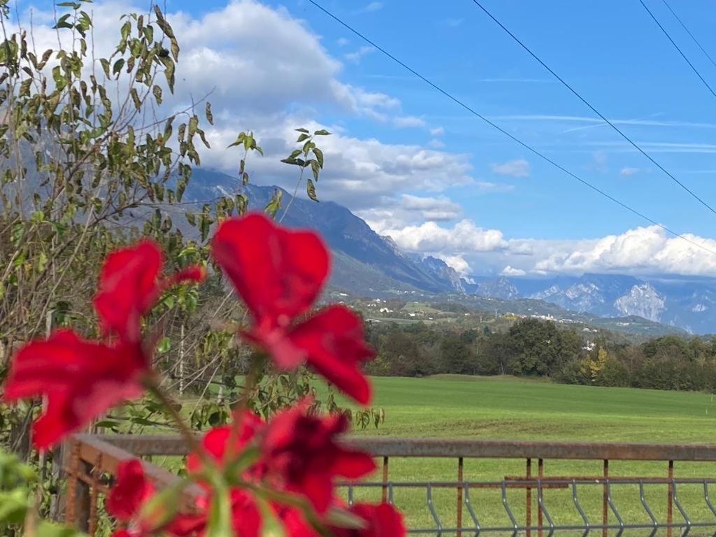 Il Mondo Roverso Feltre Zewnętrze zdjęcie